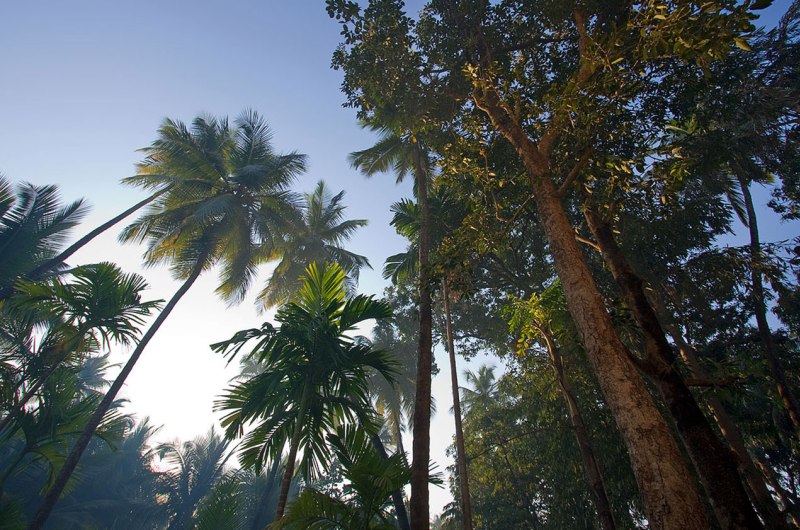 Hotel Chivala Beach, Malvan - Slider Image 1