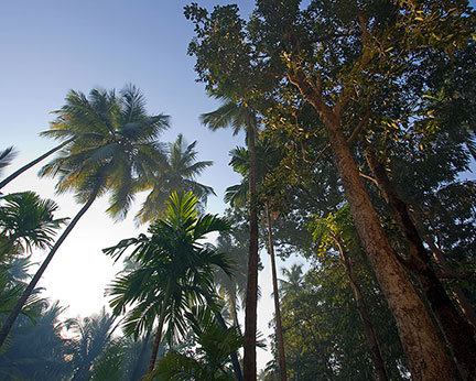 Hotel Chivala Beach-view-13